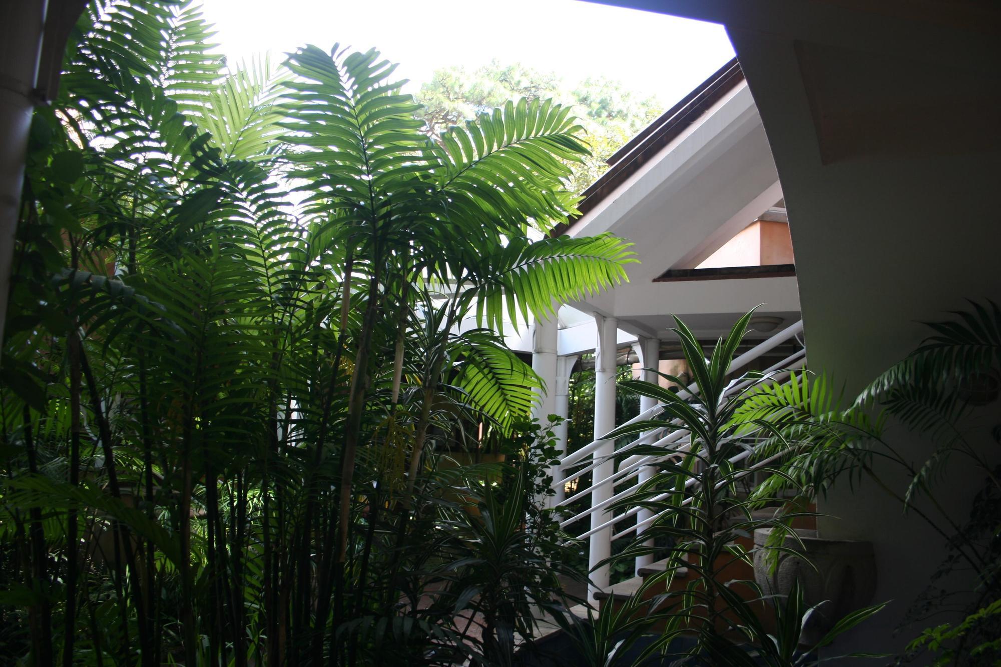 Hotel Ciudad Vieja Guatemala City Eksteriør bilde